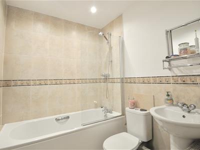 Picture 7